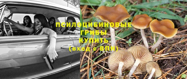 молекула духа Нефтегорск