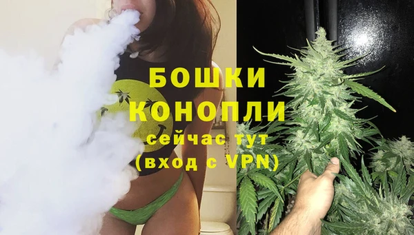 молекула духа Нефтегорск